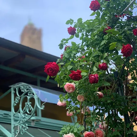 Ca Fosca Pensionat 3*