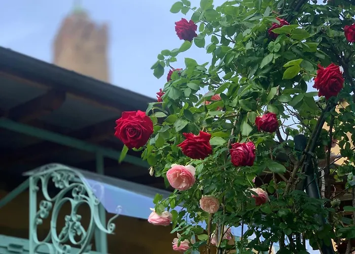 Ca Fosca Konukevi 3*